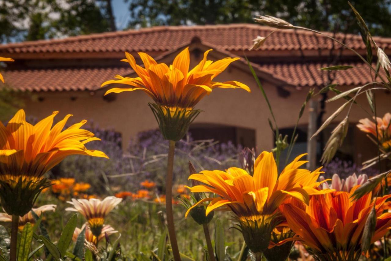 Villa Casona Aventurados Lujan de Cuyo Exterior foto